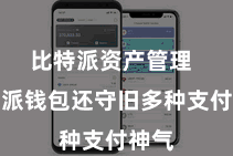 比特派资产管理  比特派钱包还守旧多种支付神气