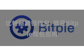 比特派跨链钱包  掀开Bitpie钱包应用