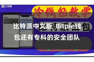 比特派中文版  Bitpie钱包还有专科的安全团队