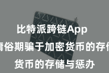 比特派跨链App  钱包被庸俗期骗于加密货币的存储与惩办