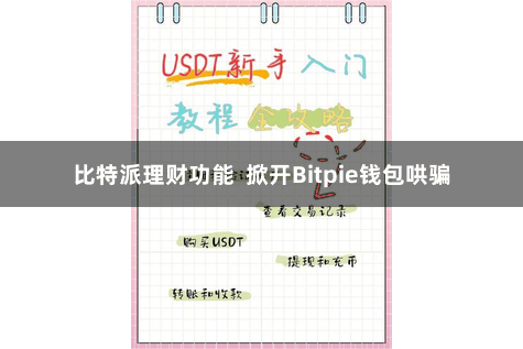 比特派理财功能  掀开Bitpie钱包哄骗