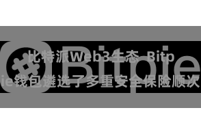 比特派Web3生态  Bitpie钱包遴选了多重安全保险顺次