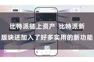 比特派链上资产  比特派新版块还加入了好多实用的新功能