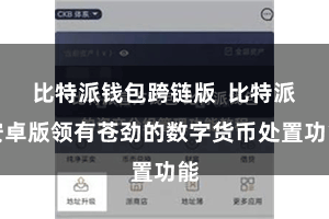 比特派钱包跨链版  比特派安卓版领有苍劲的数字货币处置功能