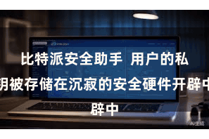 比特派安全助手  用户的私钥被存储在沉寂的安全硬件开辟中