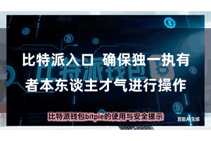 比特派入口  确保独一执有者本东谈主才气进行操作